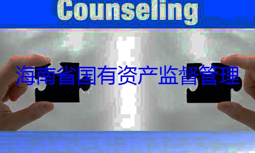 海南省国有有福接受审理委员会党委副书记王资产监督管查调查
