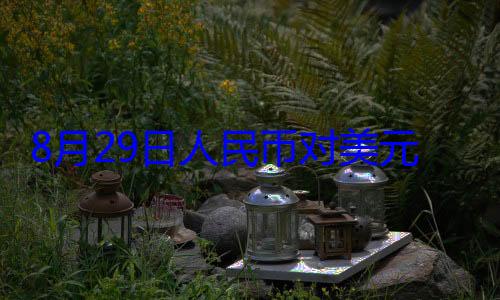 8月29日元中间价报0元 上调33个基点人民币对美